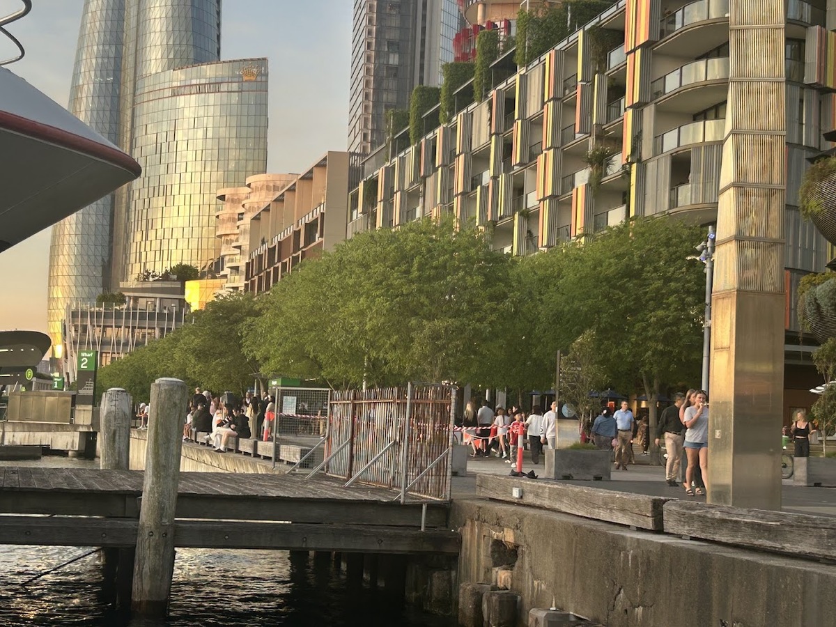 Urban tree plantings in Sydney were healthy and uniform with visible root flares. I was impressed. 